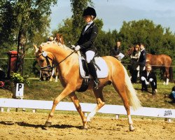 Dressurpferd Honey de Luxe (Deutsches Reitpony, 2012, von Highway N)