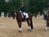 dressage horse Sa Ceur 2 (Oldenburg, 2010, from Self made)