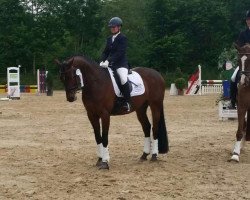 dressage horse Sa Ceur 2 (Oldenburg, 2010, from Self made)