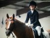 dressage horse Hot Spot (German Riding Pony, 2009, from Hot Cream 3)