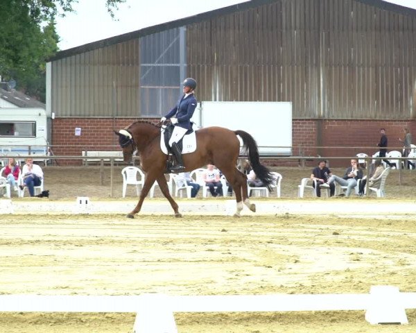 Reitturnier Willich-Anrath-Neersen 2020