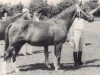 broodmare Kantje's Monic (New Forest Pony,  , from Kantje's Sjonny)