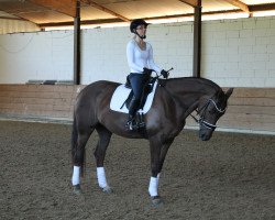 dressage horse Francoise 4 (Westphalian, 2003, from Fürst Piccolo)