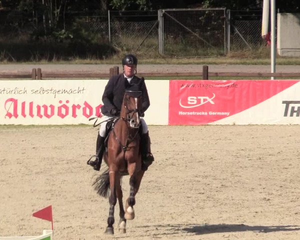 Reitturnier Westergellersen 2020