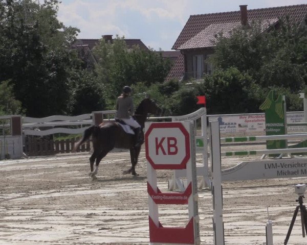 Reitturnier Ascheberg 2020