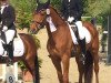 dressage horse Findlay (Westphalian, 2011, from Fleury)