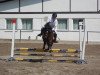 jumper Tornado (German Riding Pony, 2001, from Tetworth Crimson Lake)