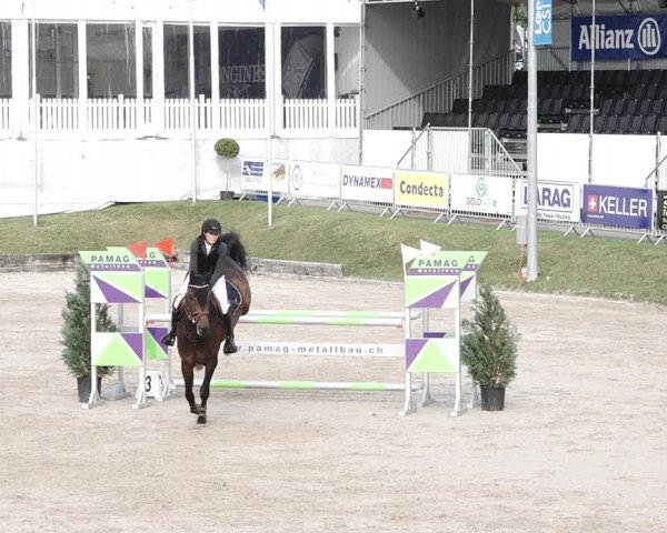 Reitturnier Humlikon 2020
