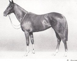 horse Solar Path xx (Thoroughbred, 1942, from Hyperion xx)