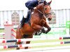 broodmare Lacessa (German Sport Horse, 2005, from Landcolt B)