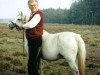 Zuchtstute Sumrin Taru (Welsh Mountain Pony (Sek.A), 1988, von Dyfed Geraint)