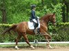 dressage horse Florenzino (Hanoverian, 2007, from Florestan I)