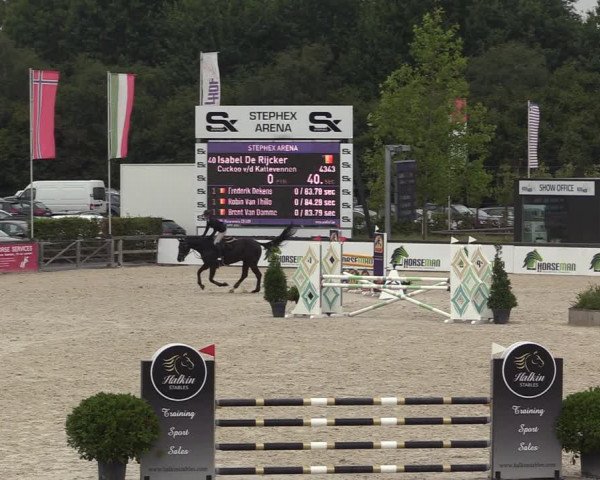 Belgisch Kampioenschap 4-5 Jarigen Paarden
