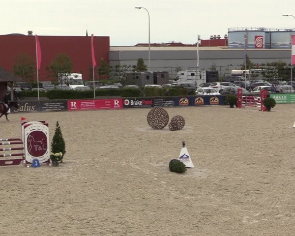 Belgisch Kampioenschap 4-5 Jarigen Paarden