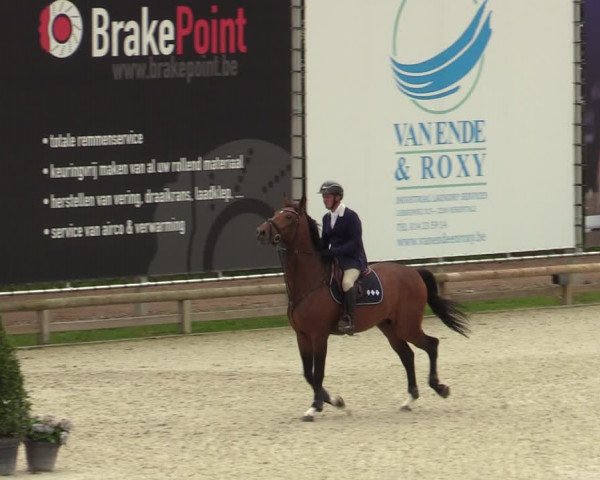 Belgisch Kampioenschap 4-5 Jarigen Paarden