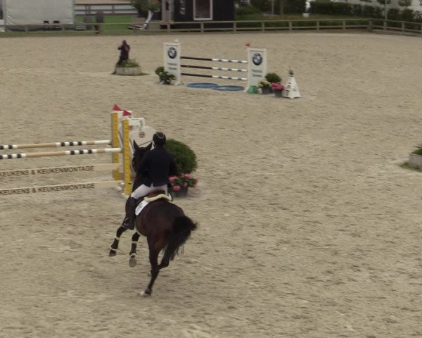Belgisch Kampioenschap 4-5 Jarigen Paarden