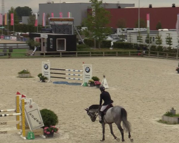 Belgisch Kampioenschap 4-5 Jarigen Paarden