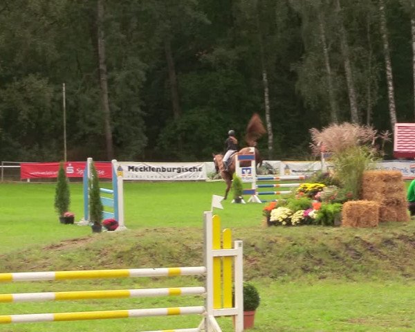 Reitturnier Pasewalk 2020