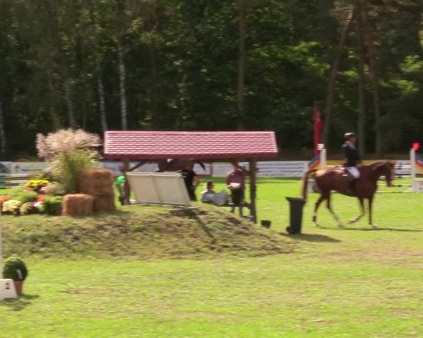 Reitturnier Pasewalk 2020