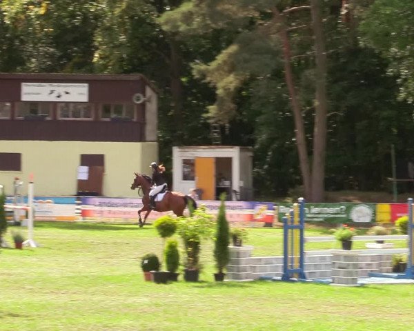 Reitturnier Pasewalk 2020
