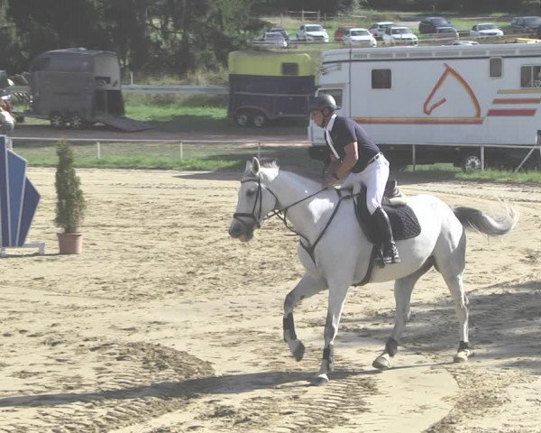 Reitturnier Heiligenwald 2020
