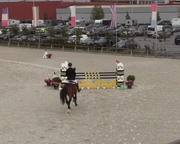 Belgisch Kampioenschap 4-5 Jarigen Paarden
