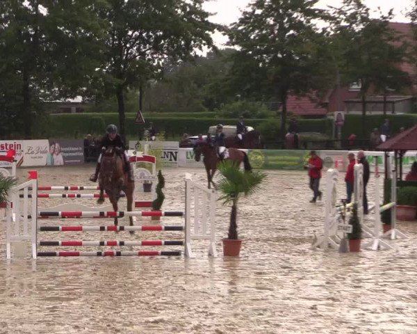 Reitturnier Ochtrup 2020