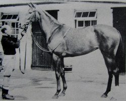 broodmare Samaria xx (Thoroughbred, 1955, from Migoli xx)