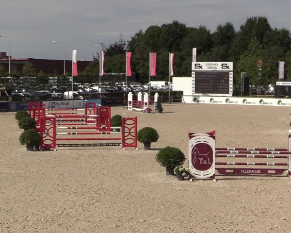 Belgisch Kampioenschap 4-5 Jarigen Paarden