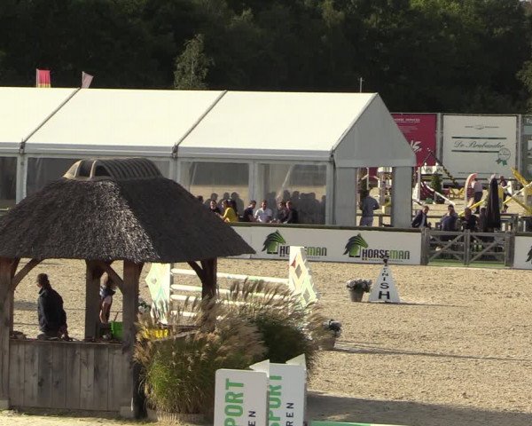Belgisch Kampioenschap 4-5 Jarigen Paarden