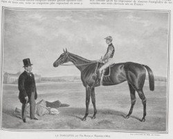 broodmare La Toucques xx (Thoroughbred, 1860, from The Baron xx)