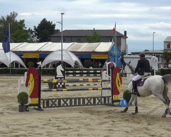Reitturnier Bornheim-Widdig 2020
