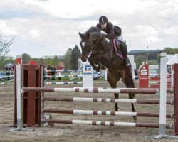 jumper Campanella (Deutsches Sportpferd, 2007, from Con Sherry)