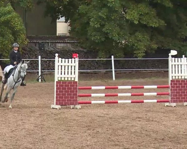 Reitturnier Demantsfürth/Mfr. 2020