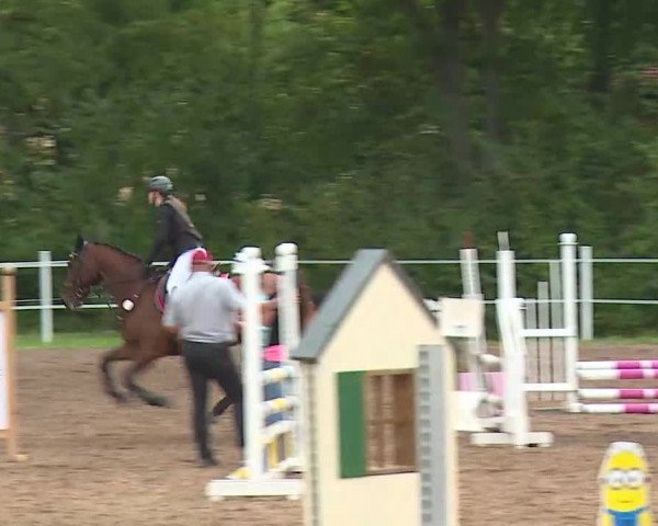 Reitturnier Demantsfürth/Mfr. 2020
