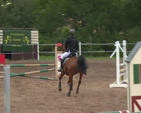 Reitturnier Demantsfürth/Mfr. 2020
