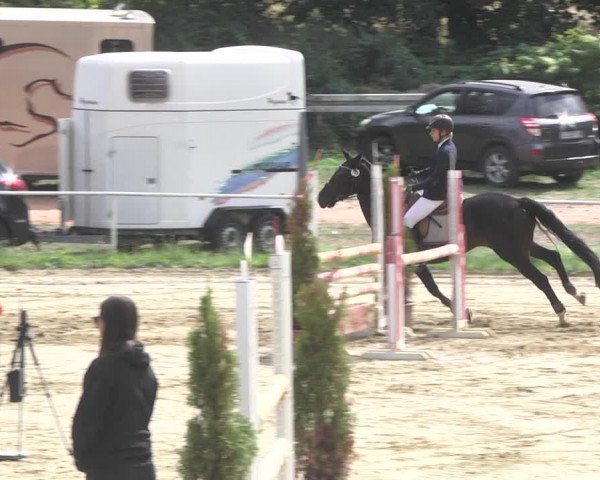 Reitturnier Heiligenwald 2020
