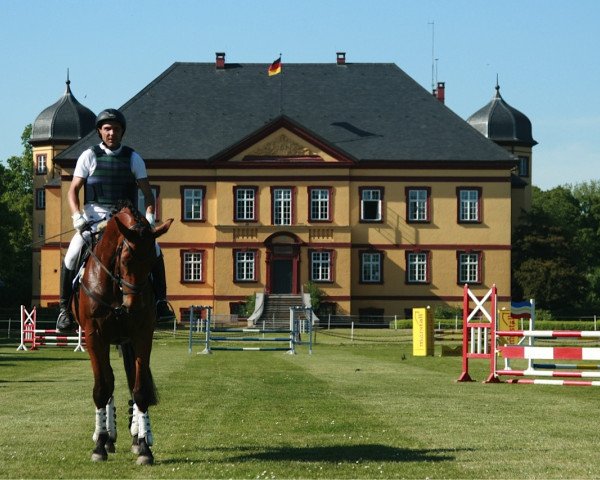 dressage horse Caddy Luck (German Sport Horse, 2010, from Camarque 3)