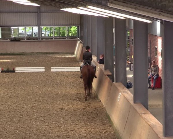 Reitturnier Ahaus 2020