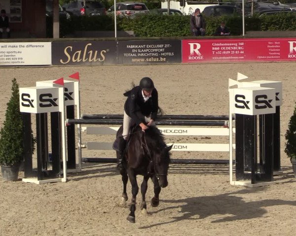 Belgisch Kampioenschap 4-5 Jarigen Paarden