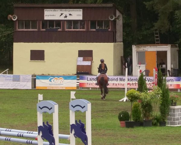 Reitturnier Pasewalk 2020