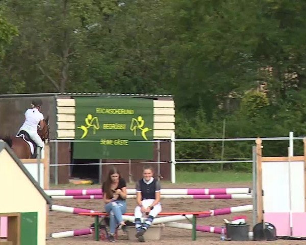 Reitturnier Demantsfürth/Mfr. 2020