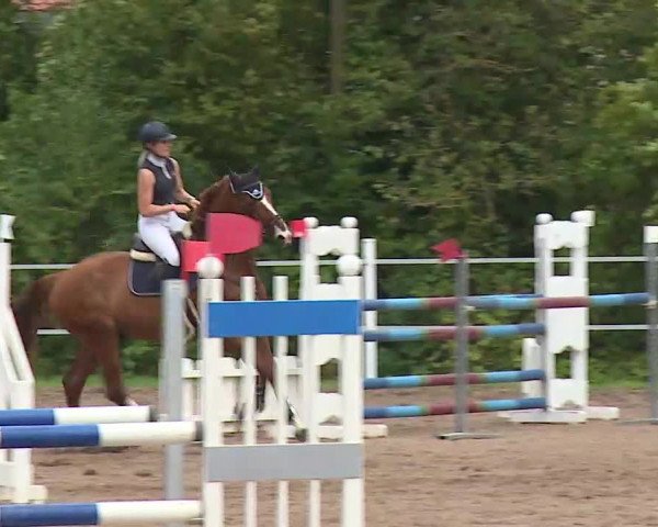 Reitturnier Demantsfürth/Mfr. 2020