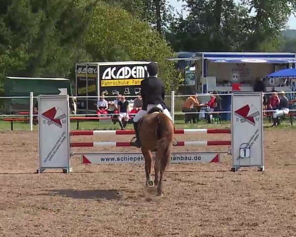 Reitturnier Demantsfürth/Mfr. 2020