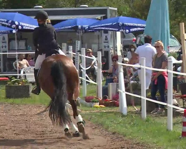 Reitturnier Demantsfürth/Mfr. 2020