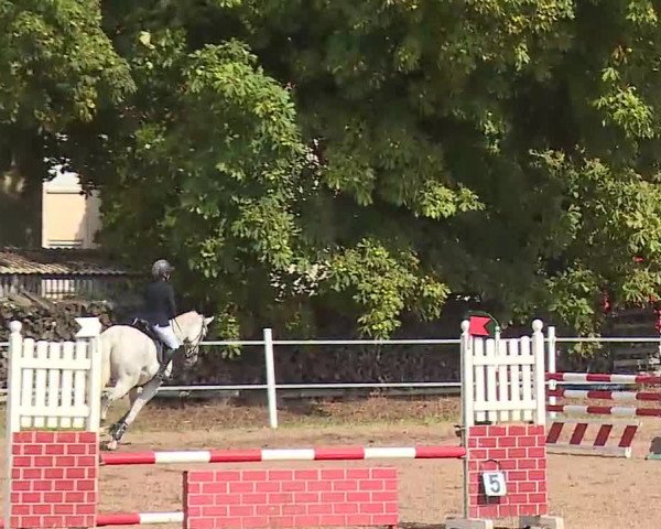 Reitturnier Demantsfürth/Mfr. 2020