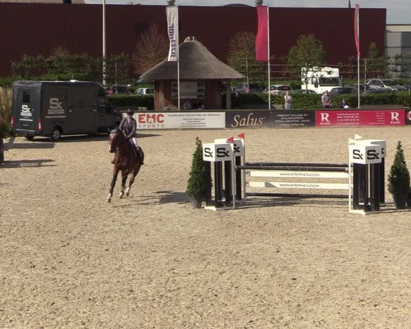Belgisch Kampioenschap 4-5 Jarigen Paarden