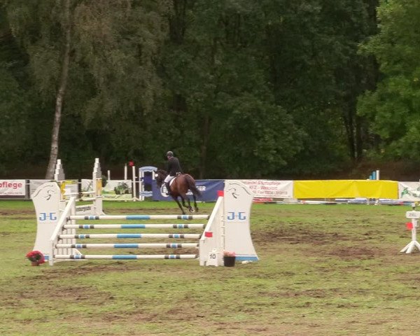 Reitturnier Pasewalk 2020