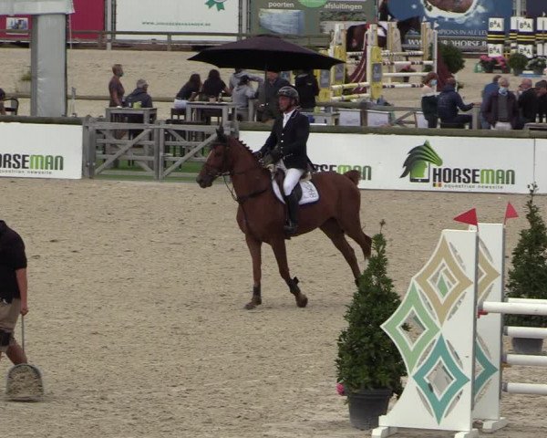 Belgisch Kampioenschap 4-5 Jarigen Paarden