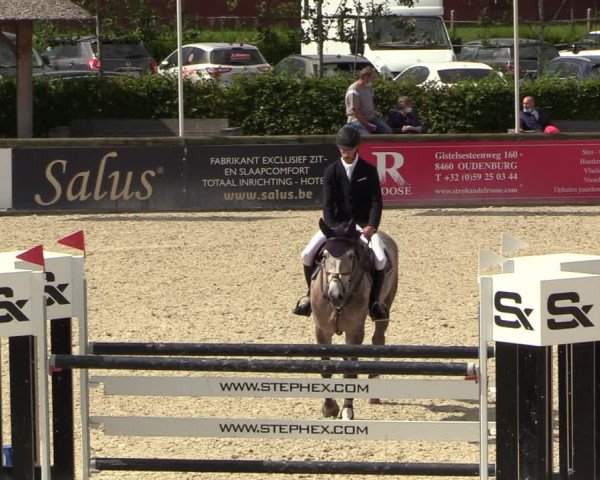 Belgisch Kampioenschap 4-5 Jarigen Paarden